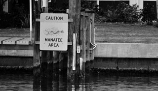 Manattee Area Caution